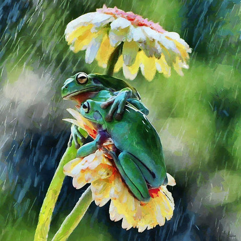 Two Green Frogs II Black Ornate Wood Framed Art Print with Double Matting by Medeiros, Celito