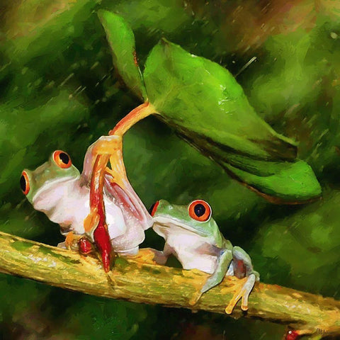 Two Green Frogs II Black Modern Wood Framed Art Print with Double Matting by Medeiros, Celito