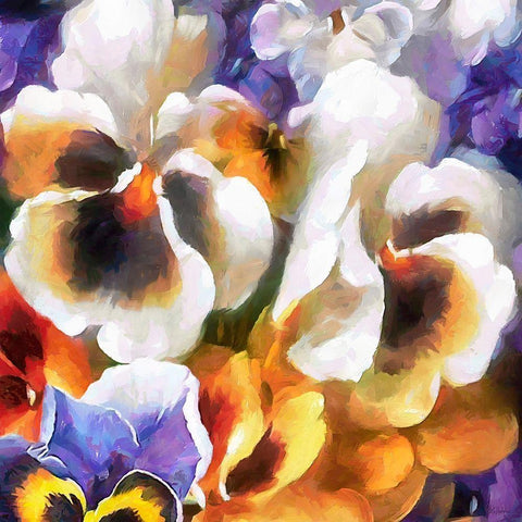 White Pansies Black Modern Wood Framed Art Print with Double Matting by Medeiros, Celito