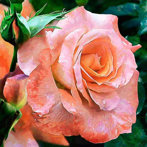 Big Rose Gold Ornate Wood Framed Art Print with Double Matting by Medeiros, Celito