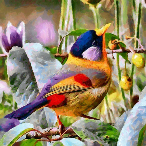 Bird on Olive Tree Gold Ornate Wood Framed Art Print with Double Matting by Medeiros, Celito