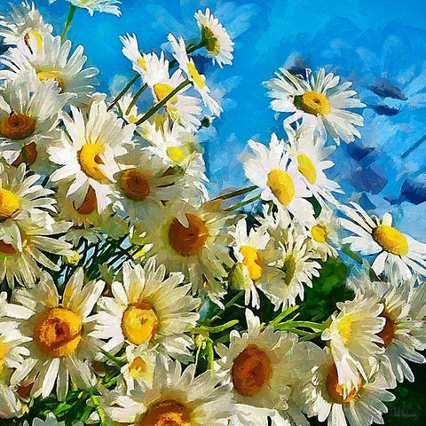 Daisies White Modern Wood Framed Art Print with Double Matting by Medeiros, Celito