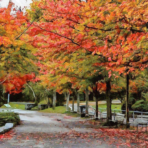 Autumn Park Black Modern Wood Framed Art Print with Double Matting by Medeiros, Celito