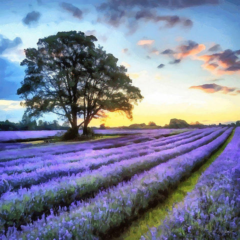 Lavender Field II White Modern Wood Framed Art Print with Double Matting by Medeiros, Celito