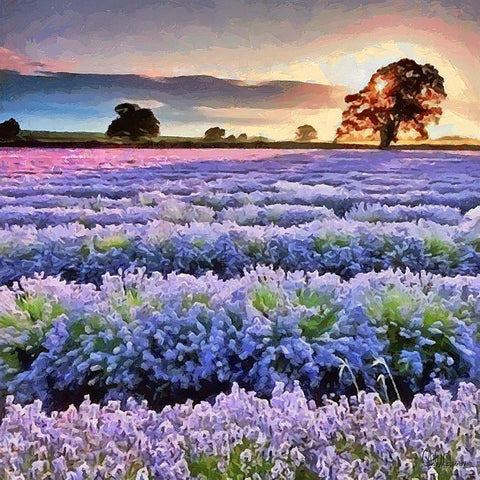 Lavender Field III Black Modern Wood Framed Art Print by Medeiros, Celito