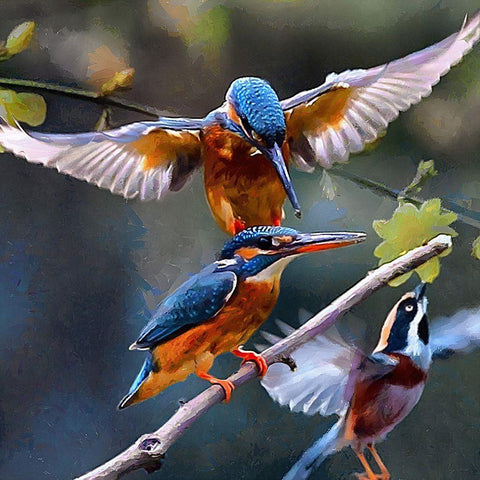 Three Kingfishers White Modern Wood Framed Art Print by Medeiros, Celito