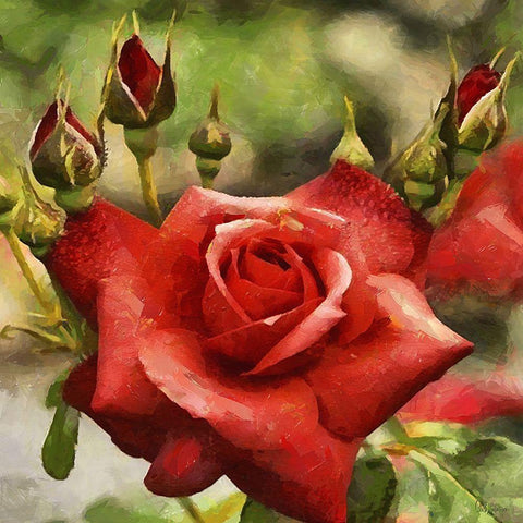 Rose with Buds Black Modern Wood Framed Art Print by Medeiros, Celito