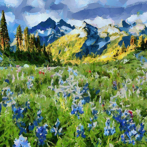 Alps with Spring Flowers Black Ornate Wood Framed Art Print with Double Matting by Medeiros, Celito