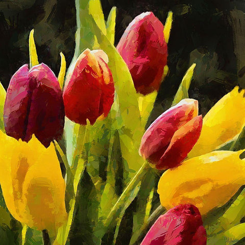 Red and Yellow Tulips Black Ornate Wood Framed Art Print with Double Matting by Medeiros, Celito