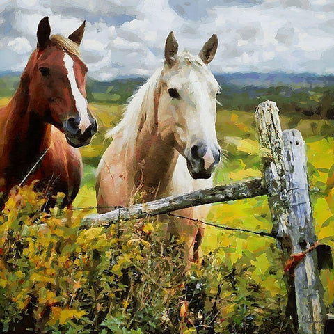 Brown and White Horse White Modern Wood Framed Art Print with Double Matting by Medeiros, Celito