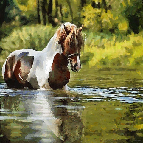 Spotted Horse Black Modern Wood Framed Art Print by Medeiros, Celito