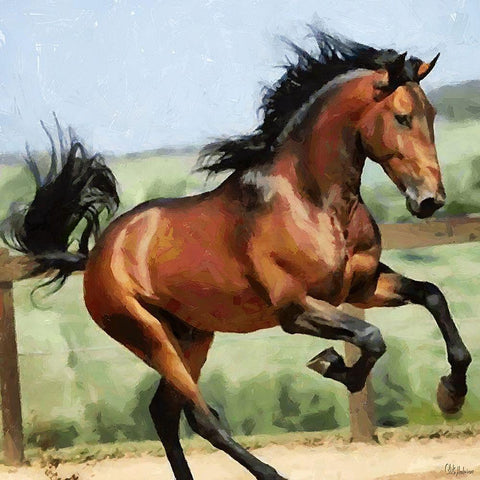 Happy Brown Horse Black Modern Wood Framed Art Print with Double Matting by Medeiros, Celito