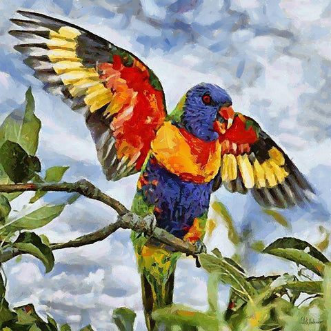 Parrot Waving its Wings White Modern Wood Framed Art Print by Medeiros, Celito