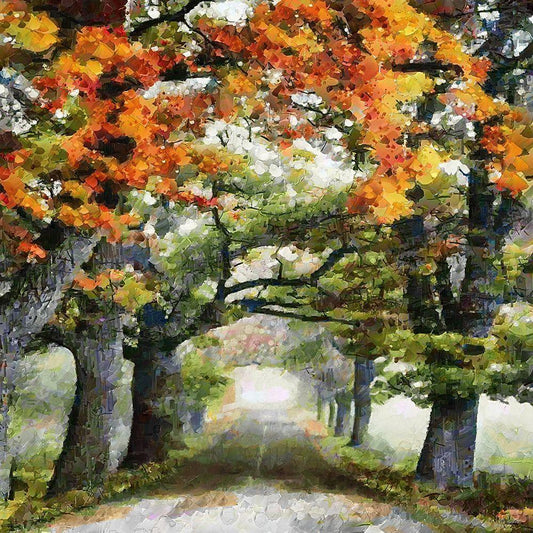 Image Only