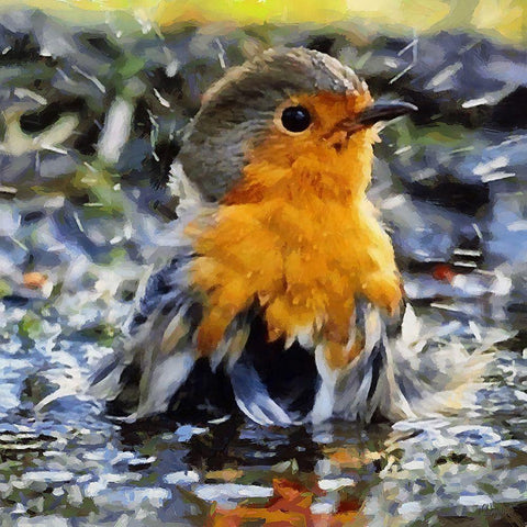 Bathing Bird White Modern Wood Framed Art Print by Medeiros, Celito