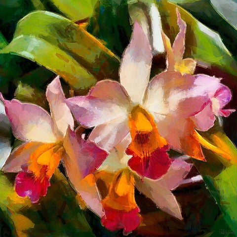 Tropical Flowers Gold Ornate Wood Framed Art Print with Double Matting by Medeiros, Celito