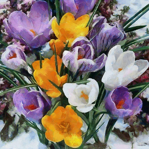 Spring Flowers White Modern Wood Framed Art Print by Medeiros, Celito