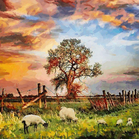 Sheeps by a Tree White Modern Wood Framed Art Print with Double Matting by Medeiros, Celito