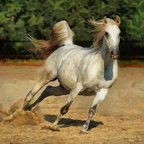 White Running Horses White Modern Wood Framed Art Print by Medeiros, Celito