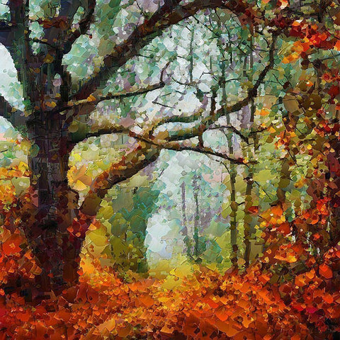 Autumn Tree Black Modern Wood Framed Art Print with Double Matting by Medeiros, Celito