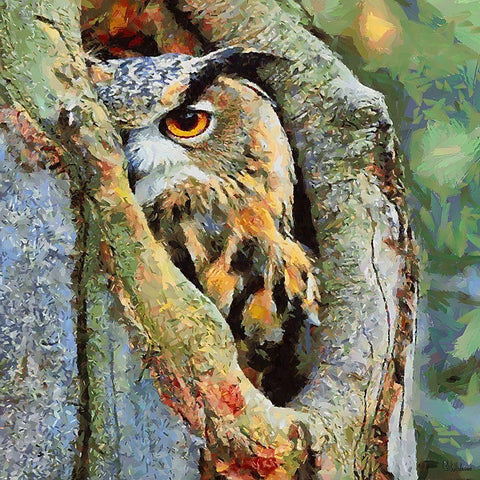 Owl in the Tree Gold Ornate Wood Framed Art Print with Double Matting by Medeiros, Celito