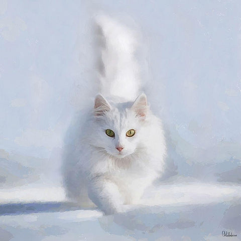 White Cat White Modern Wood Framed Art Print with Double Matting by Medeiros, Celito