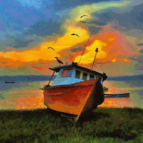 Boath with Birds White Modern Wood Framed Art Print by Medeiros, Celito