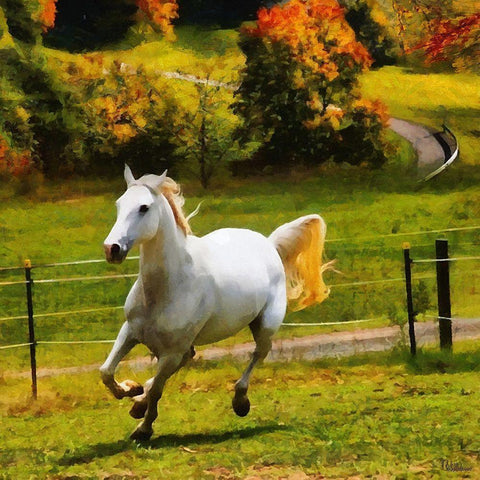 White Horse Black Modern Wood Framed Art Print by Medeiros, Celito