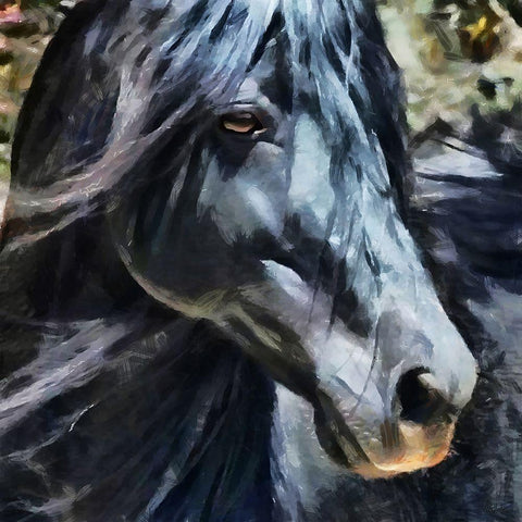 Black Horse Black Modern Wood Framed Art Print by Medeiros, Celito