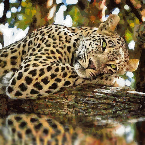 Gepard on the Tree White Modern Wood Framed Art Print by Medeiros, Celito