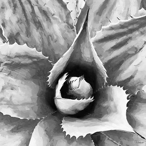 Leaves BW2 Black Ornate Wood Framed Art Print with Double Matting by Medeiros, Celito