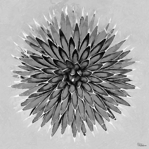 Leaves BW3 Black Ornate Wood Framed Art Print with Double Matting by Medeiros, Celito