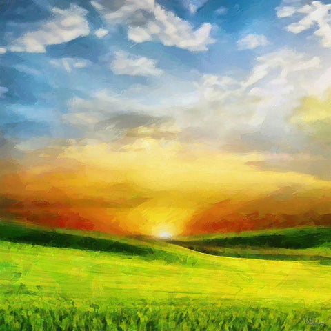 Sunrise over the Meadow Black Modern Wood Framed Art Print by Medeiros, Celito