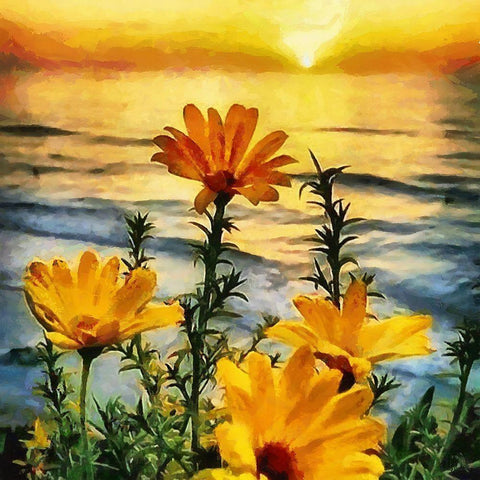 Yellow Flowers by Sunset Black Ornate Wood Framed Art Print with Double Matting by Medeiros, Celito