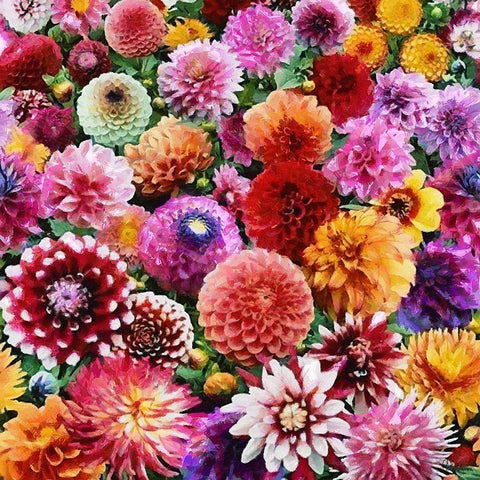 Only Flowers White Modern Wood Framed Art Print by Medeiros, Celito