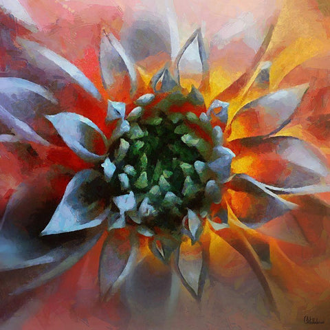 Flower in Red Black Modern Wood Framed Art Print by Medeiros, Celito