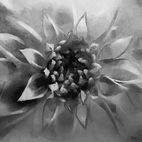 Leaves BW4 Black Modern Wood Framed Art Print by Medeiros, Celito