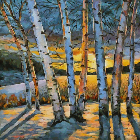 Birches in Winter Gold Ornate Wood Framed Art Print with Double Matting by Medeiros, Celito