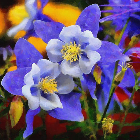 Purple Orchid White Modern Wood Framed Art Print with Double Matting by Medeiros, Celito