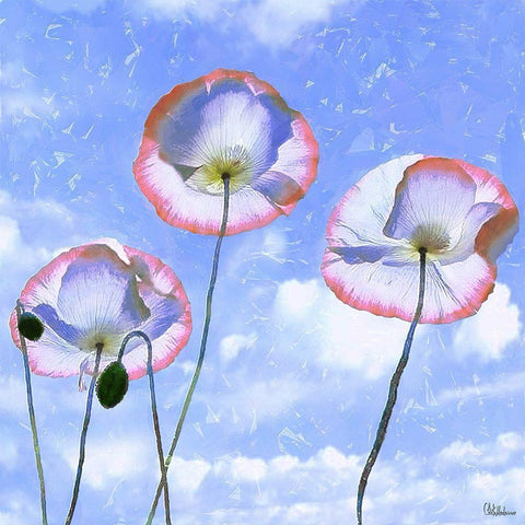 Three Poppies II Black Ornate Wood Framed Art Print with Double Matting by Medeiros, Celito