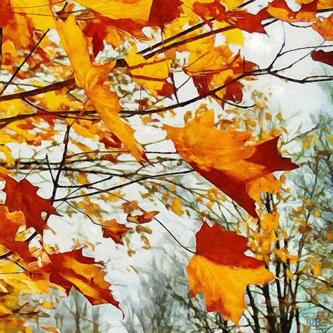Autumn is Here White Modern Wood Framed Art Print with Double Matting by Medeiros, Celito