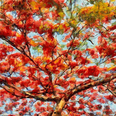 Red Flowering Tree I White Modern Wood Framed Art Print with Double Matting by Medeiros, Celito