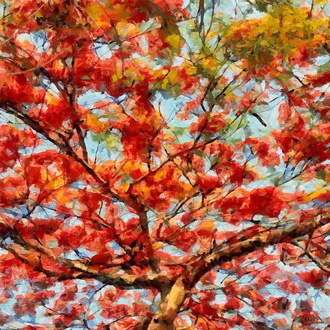 Red Flowering Tree I Gold Ornate Wood Framed Art Print with Double Matting by Medeiros, Celito