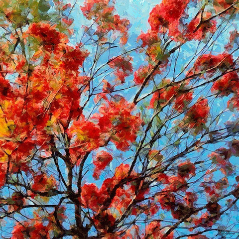 Red Flowering Tree II White Modern Wood Framed Art Print with Double Matting by Medeiros, Celito