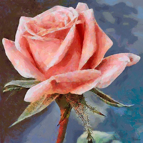 Single Rose Gold Ornate Wood Framed Art Print with Double Matting by Medeiros, Celito