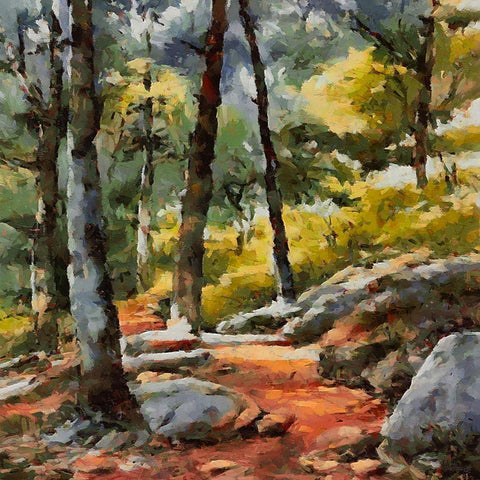 Path with Rocks Gold Ornate Wood Framed Art Print with Double Matting by Medeiros, Celito