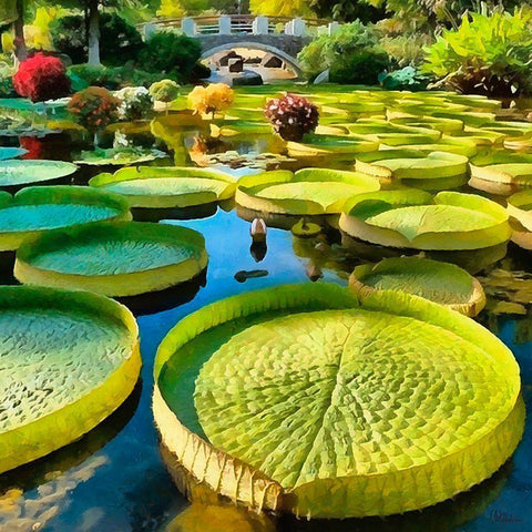 Big Green Watter Lilly Gold Ornate Wood Framed Art Print with Double Matting by Medeiros, Celito