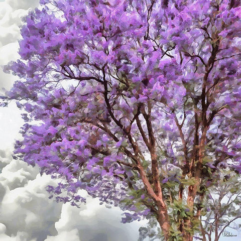 Pink blooming Tree White Modern Wood Framed Art Print by Medeiros, Celito