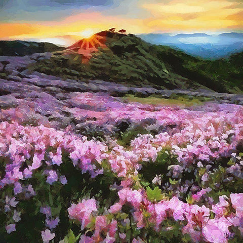 Pink Field by Sunset Gold Ornate Wood Framed Art Print with Double Matting by Medeiros, Celito