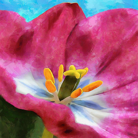 Spring Floral Variations I White Modern Wood Framed Art Print with Double Matting by Medeiros, Celito